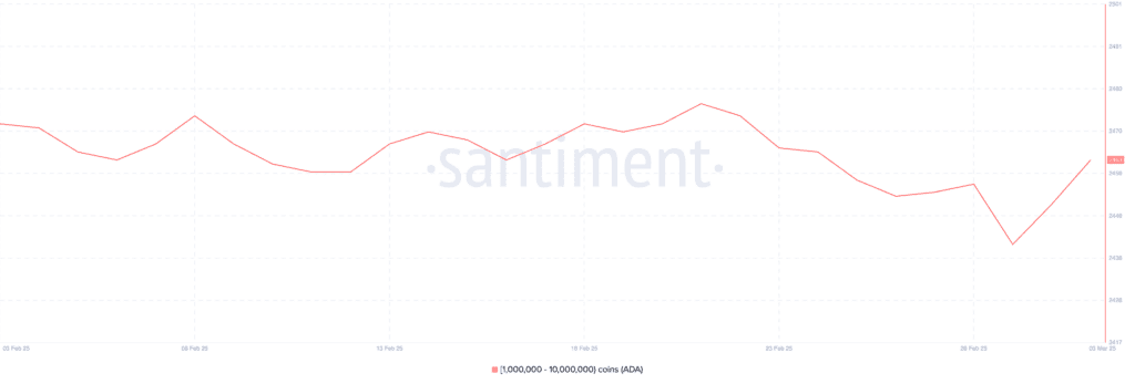 لورس :نهنگ‌های با ریزش بازار کریپتو این ۳ آلت کوین را انباشت کردند!