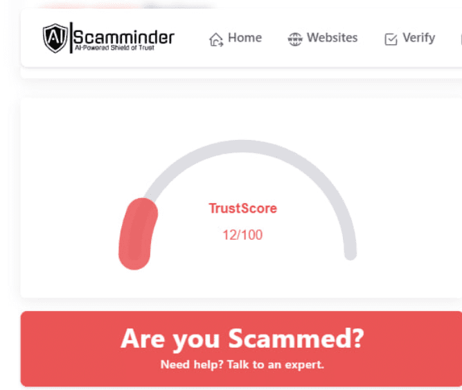 بررسی توکن وسط توسط هوش مصنوعی اسکم مایندر