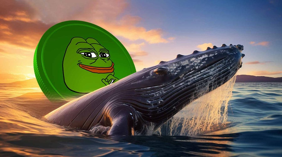 لورس :انباشت بزرگ نهنگ PEPE در بازار نوسانی؛ آماده افزایش قیمت باشیم؟