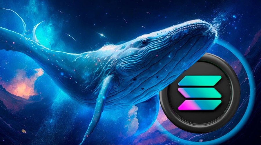 لورس :نهنگ‌ها قیمت سولانا را از ۱۴۵ دلار فراتر بردند؛ بازگشتی کوتاه‌مدت یا آغاز روند صعودی؟