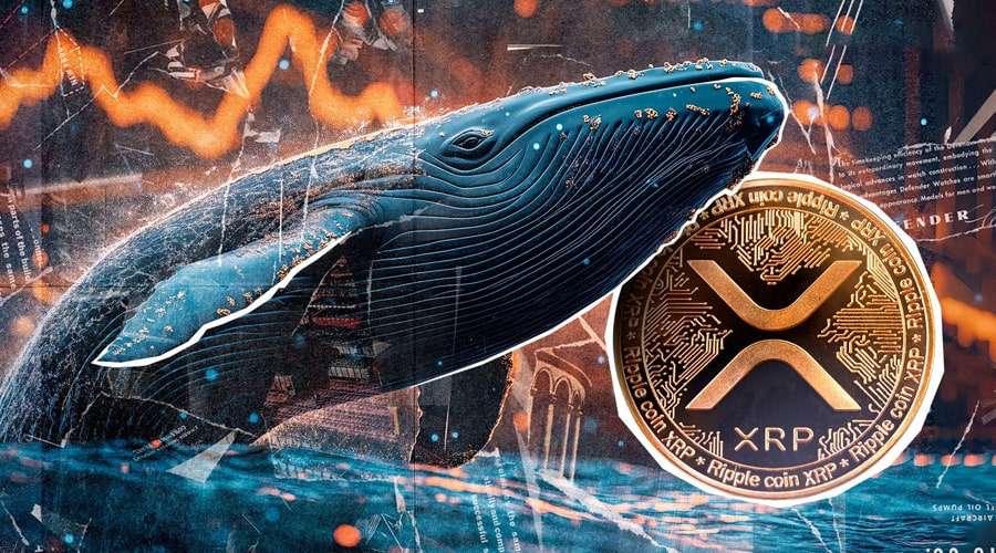 لورس :ریپل آماده انفجار قیمتی؛ نهنگ‌ها ۳.۳ میلیارد دلار XRP انباشت کردند!