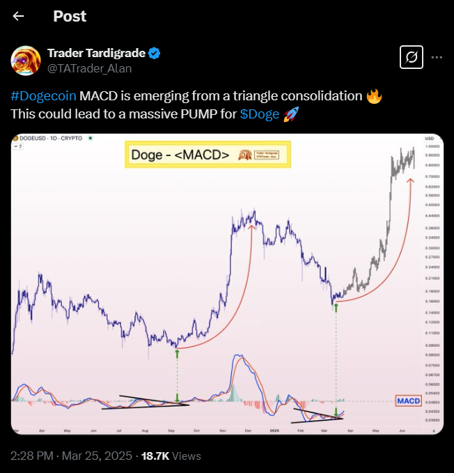 لورس :این میم کوین معروف در آستانه یک جهش ۱۰ برابری قرار دارد!