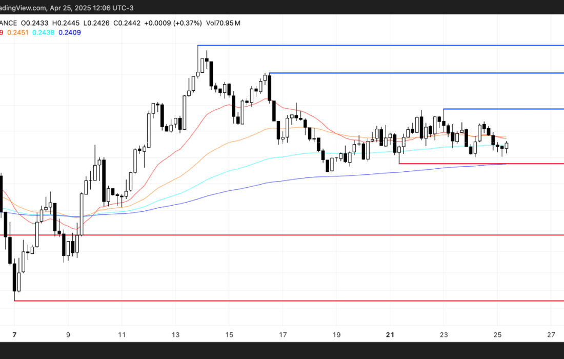 لورس :۳ آلت‌کوین که باید قبل از مراسم شام ترامپ به آن‌ها توجه کنید