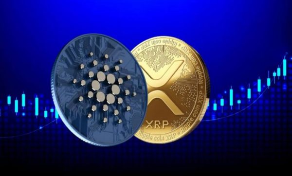 لورس :ریپل یا کاردانو؟ مقایسه کامل و انتخاب بهترین گزینه برای سرمایهگذاری