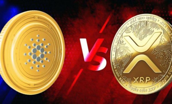 ریپل بهتره یا کاردانو