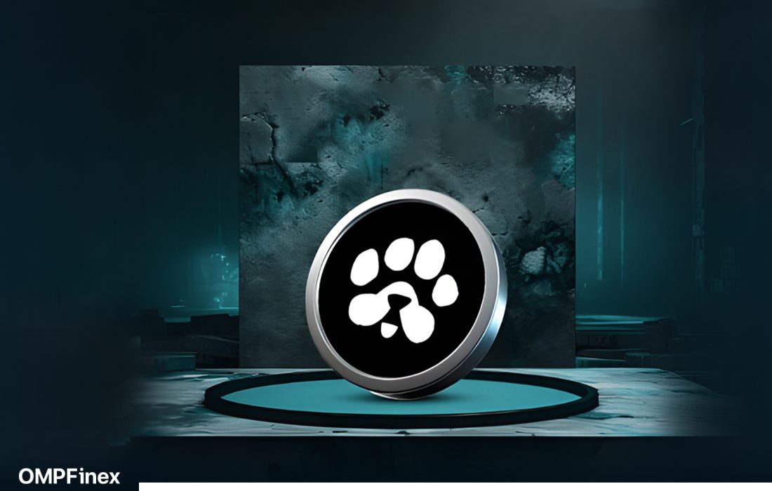 لورس :ایردراپ PAWS چیست؟ آموزش کامل دریافت ایردراپ پاوز  PAWS
