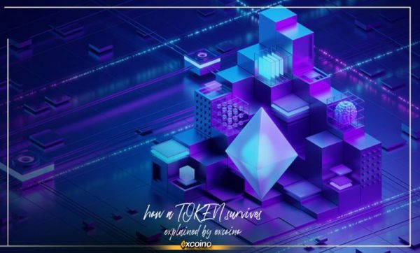 کاربرد واقعی توکن: قلب تپنده ارزش‌آفرینی