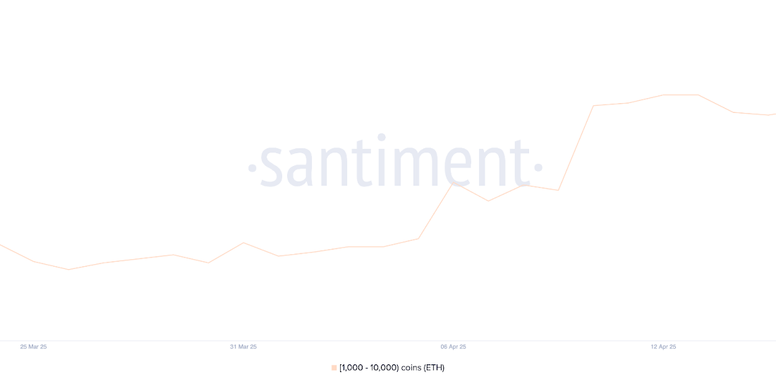 لورس :نهنگ‌ها با خرید ۲ آلت کوین به استقبال ماه جدید می‌روند!