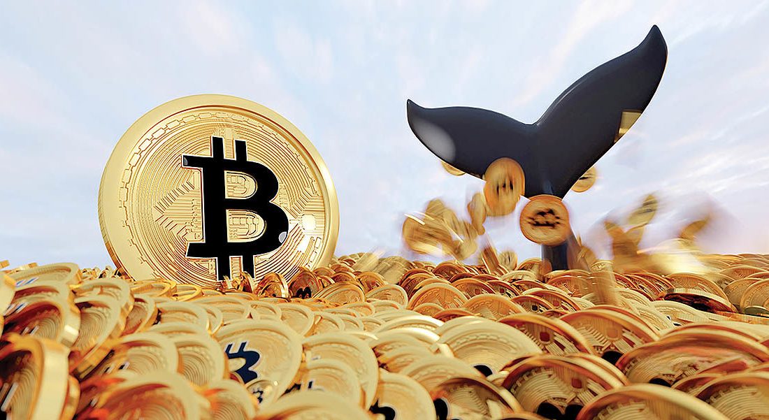 لورس :حال ناخوش بازار NFT