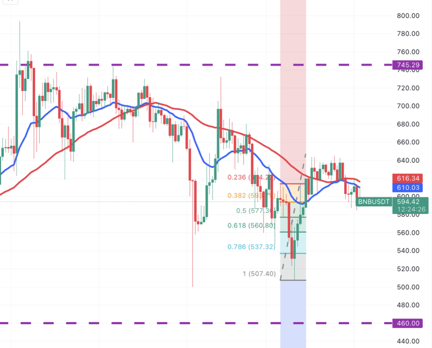 لورس :تحلیل بایننس کوین (BNB) امروز ۱۴ فروردین ۱۴۰۴