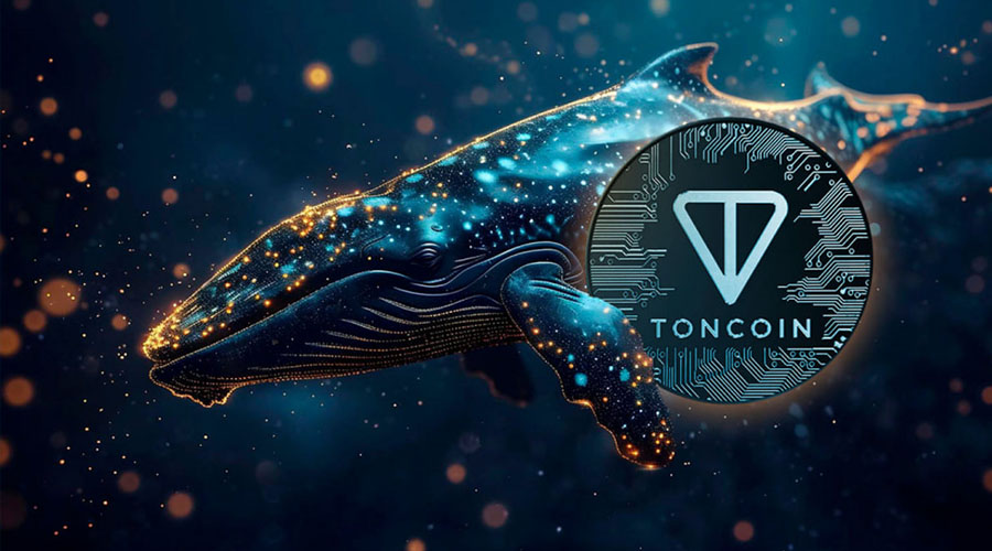 لورس :قیمت تون کوین (TON) آماده انفجار؛ نهنگ‌ها وارد بازی شدند!