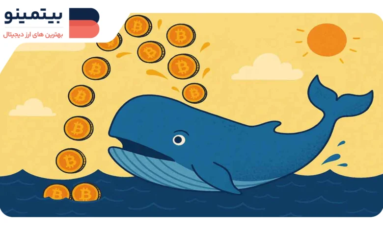 لورس :نهنگهای بیتکوین همچنان در حال خرید؛ دادههای گلسنود چه میگویند؟