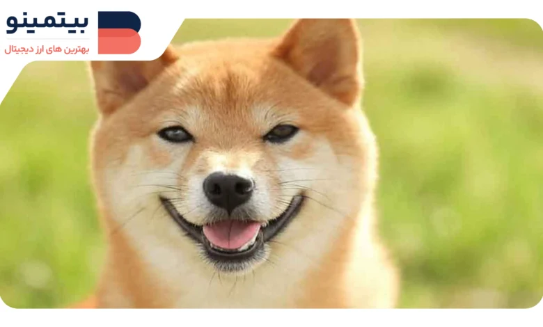 لورس :Dogecoin وارد دنیای مالی سنتی می‌شود: معرفی ETP جدید توسط ۲۱Shares