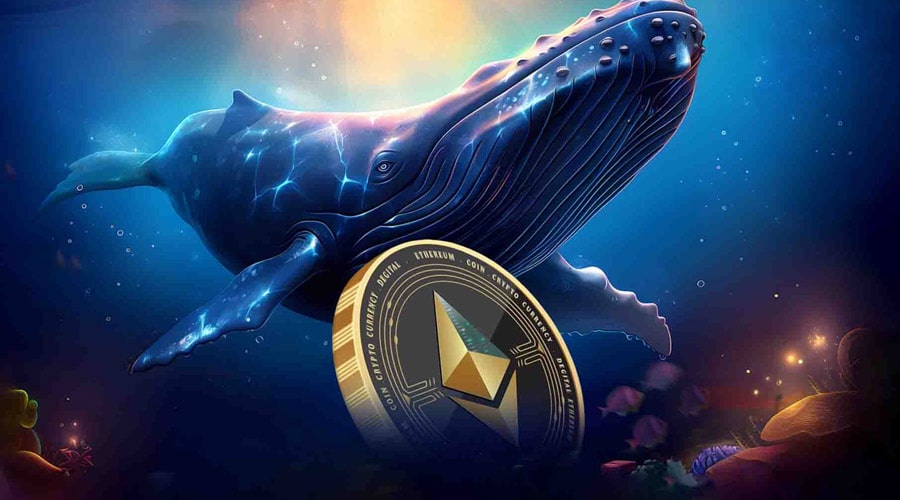 لورس :خرید گسترده نهنگهای اتریوم در زمان افت قیمت؛ سیگنالی برای صعود ETH؟