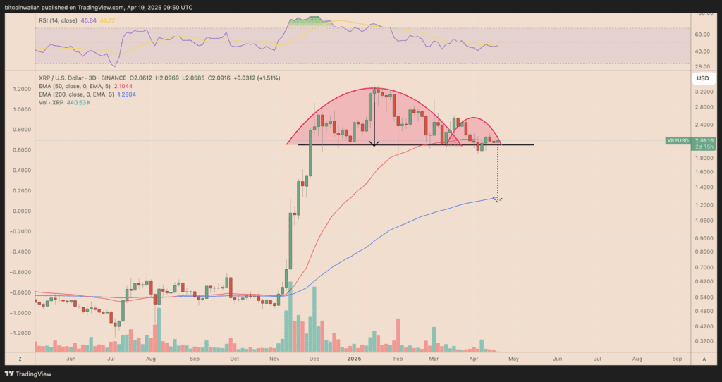 لورس :تحلیل ریپل؛ آیا احتمال سقوط ۵۰ درصدی XRP وجود دارد؟