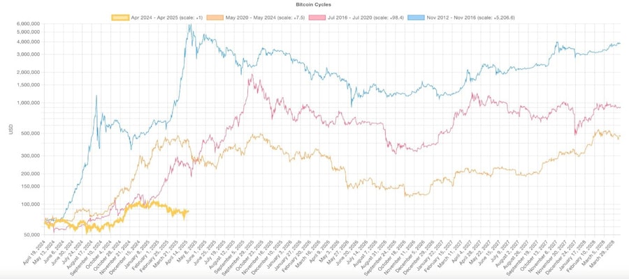 one-year-after-bitcoin-halving-unique-cycle-