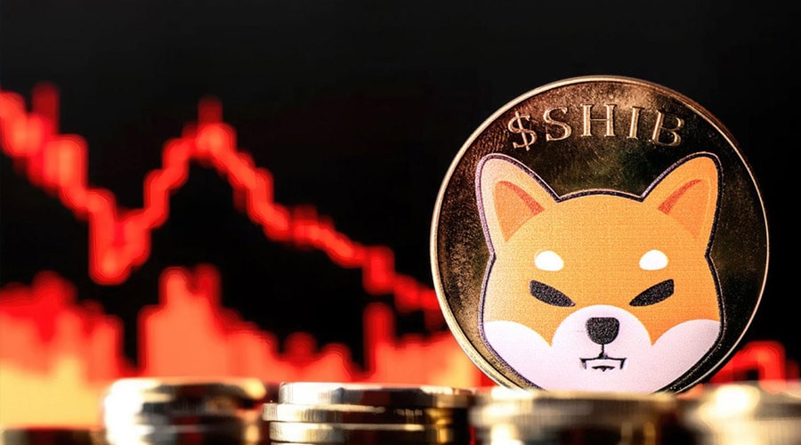 لورس :وضعیت شیبا اینو وخیمتر از همیشه؛ تنها ۵ درصد از دارندگان در سود هستند!