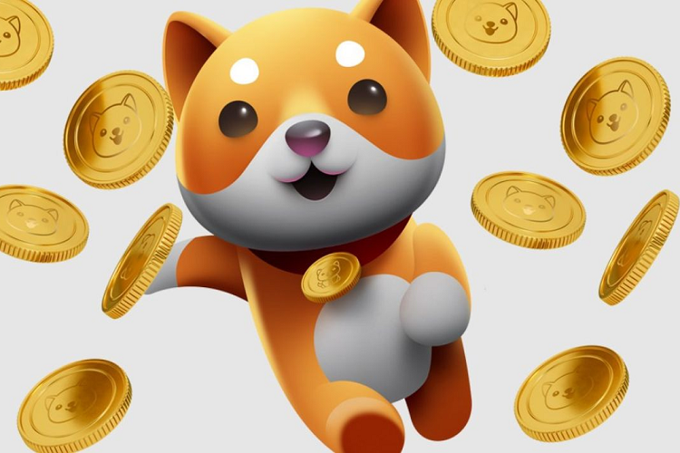 لورس :تحلیل تخصصی قیمت بیبی دوج: زمان بهینه خرید