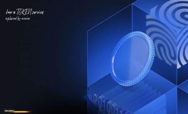 لورس :تحلیل توکنومیکس پروژه‌های موفق؛ چه عواملی باعث موفقیت اقتصادی یک توکن می‌شوند؟