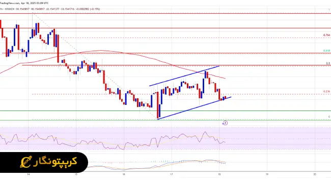 لورس :احتمال سقوط بیشتر دوج کوین وجود دارد!