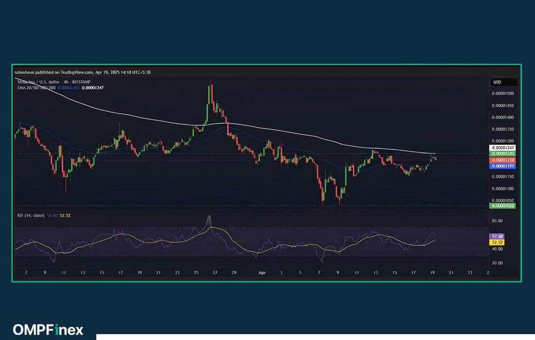 لورس :۵ میمکوین برتر که آخر هفتهای پرسود را برایتان رقم میزند