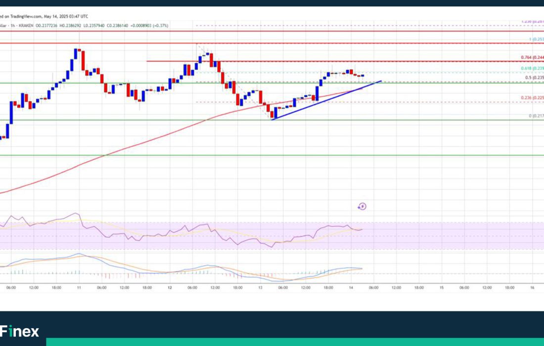 لورس :تحلیل دوج کوین امروز ۲۴ اردیبهشت؛ اتفاقات مهم پیشروی DOGE