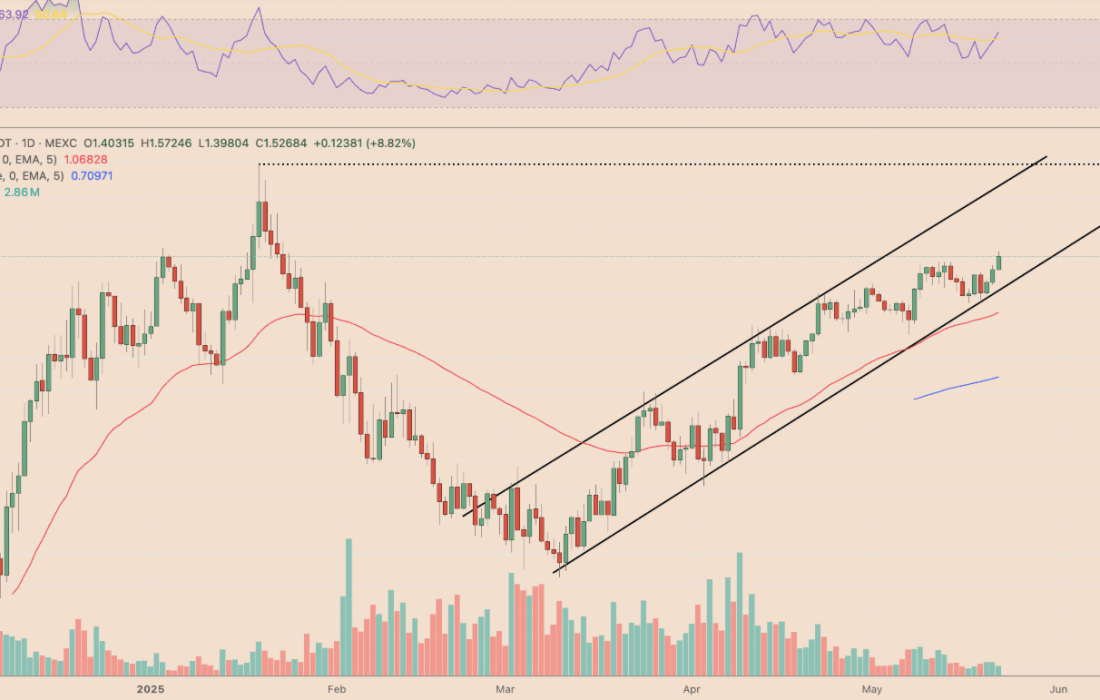 لورس :۴ میم کوین که می‌توانند در این روند صعودی، عملکرد بهتری از بیت‌کوین داشته باشند!