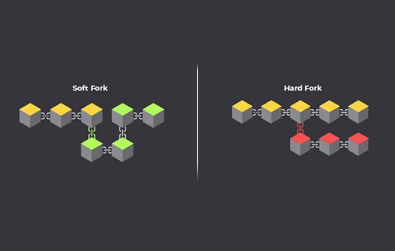لورس :هارد فورک در ارزهای دیجیتال؛ تحولاتی که آینده بلاکچین را می‌سازند