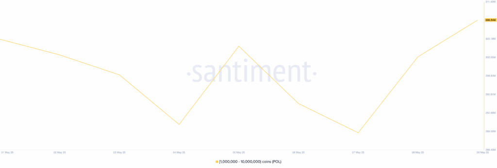 توزیع عرضه پالیگان