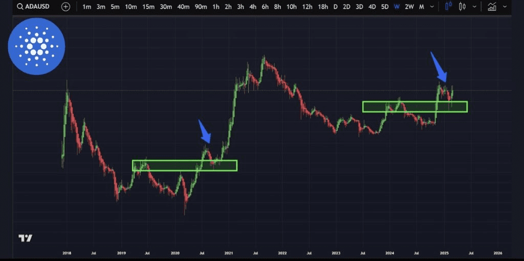 نمودار قیمت کاردانو