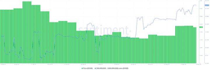 انباشت دوج کوین توسط نهنگ‌ها