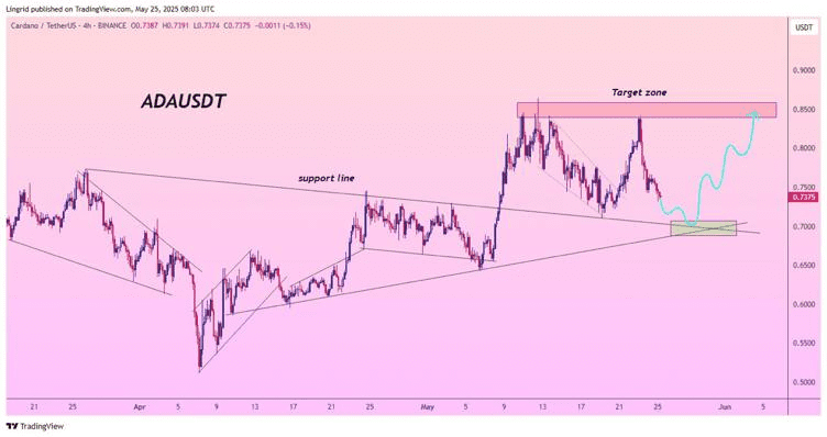 نمودار یک روزه قیمت کاردانو آلت کوین