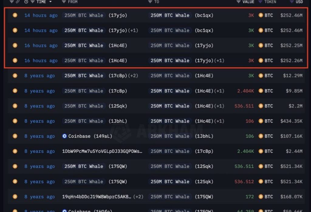 لورس :یک نهنگ بدشانس همه سود ۲۵۰ میلیون دلاری خود را از دست داد!