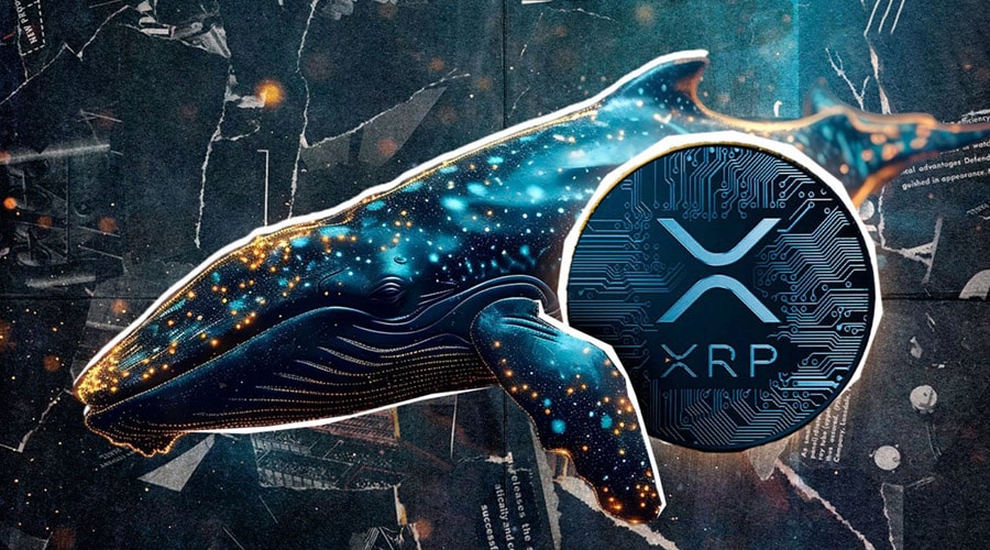 لورس :ریپل در آستانه بازگشت به اوج؛ نهنگ‌ها ۲۰۰ میلیون XRP را انباشت کردند!