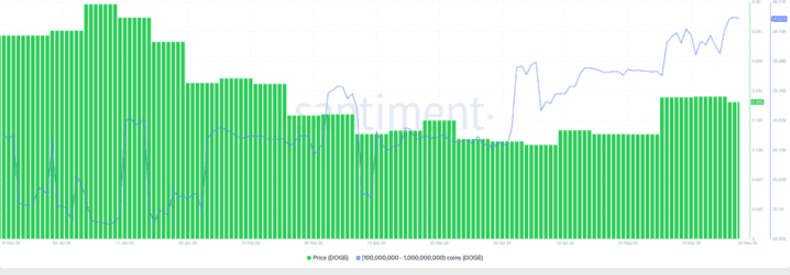خرید دوج کوین توسط نهنگ‌ها
