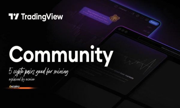 لورس :نحوه دنبال کردن تحلیلگران و معاملهگران معروف، لایک کردن و کامنت گذاشتن بر روی تحلیلها