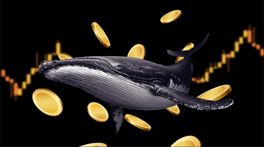 لورس :موج جدید خرید نهنگ‌ها شروع شد؛ ۳ رمزارز برنده آتش‌بس ایران و اسرائیل!