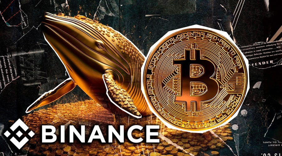 لورس :چشم‌انداز صعودی بیت‌کوین؛ نهنگ‌های بایننس دست از فروش کشیده‌اند!