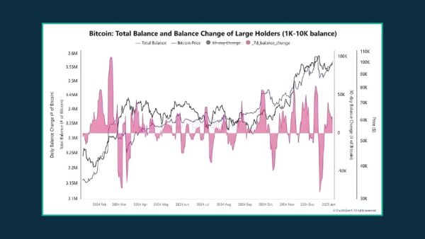 لورس :نهنگ‌های بیت‌کوین در کف قیمت به جمع‌آوری مشغول شدند