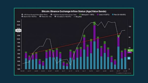 تغییرات تعداد هولدرهای بیت‌کوین تا ژانویه ۲۰۲۵