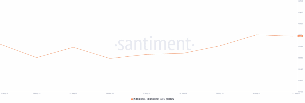 لورس :نهنگها با ریزش بازار کریپتو ۳ آلت کوین را انباشت کردند