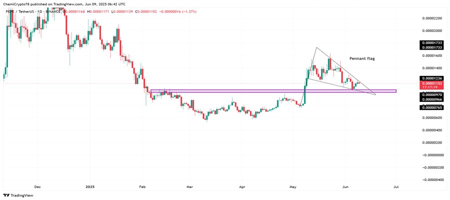 pepe-whale-dumps-11-65m-traders-is-this-a-warning-sign-for