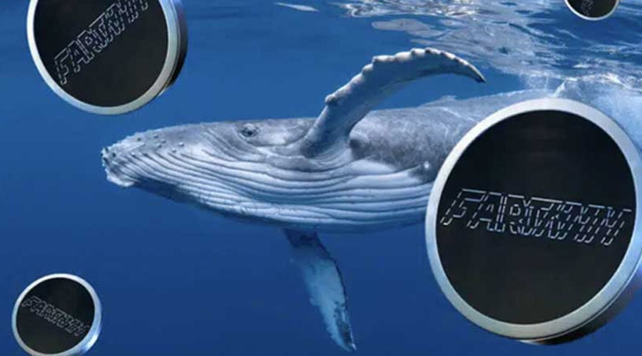 لورس :فارت‌کوین زیر تیغ فروش میلیونی نهنگ‌ها؛ حمایت ۱ دلار دوام می‌آورد؟