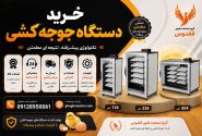 لورس :راهنمای تخصصی خرید دستگاه جوجه کشی
